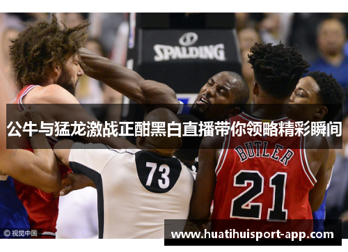 公牛与猛龙激战正酣黑白直播带你领略精彩瞬间